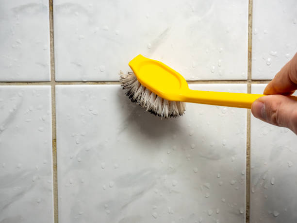 Mold Testing and Removal in Nicholson, GA