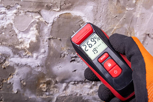 Nicholson, GA Mold Removal Company