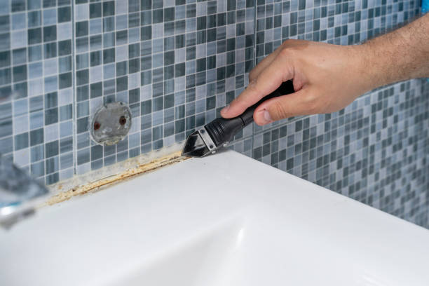 Best Mold Cleaning Services  in Nicholson, GA