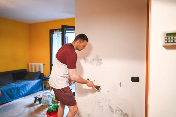 Best Crawl Space Mold Removal  in Nicholson, GA